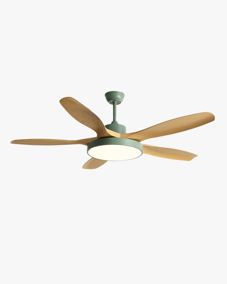 Ceiling Fan